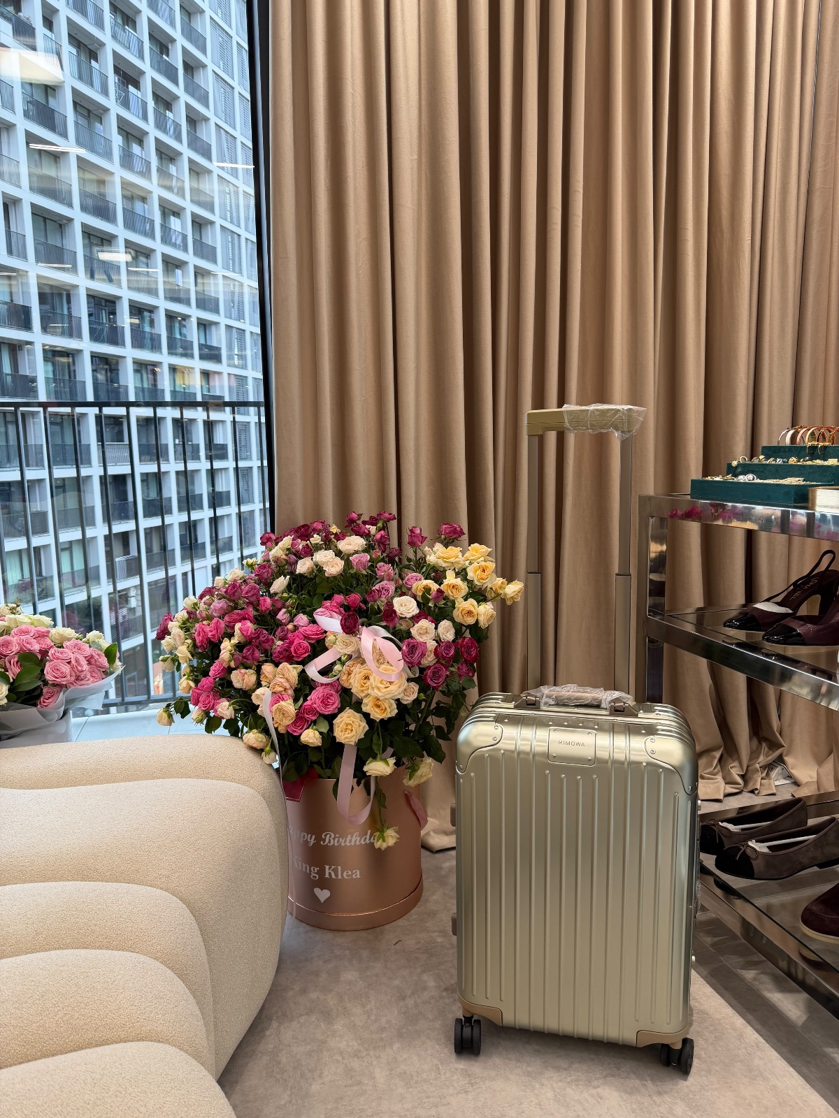 Rimowa Luggage