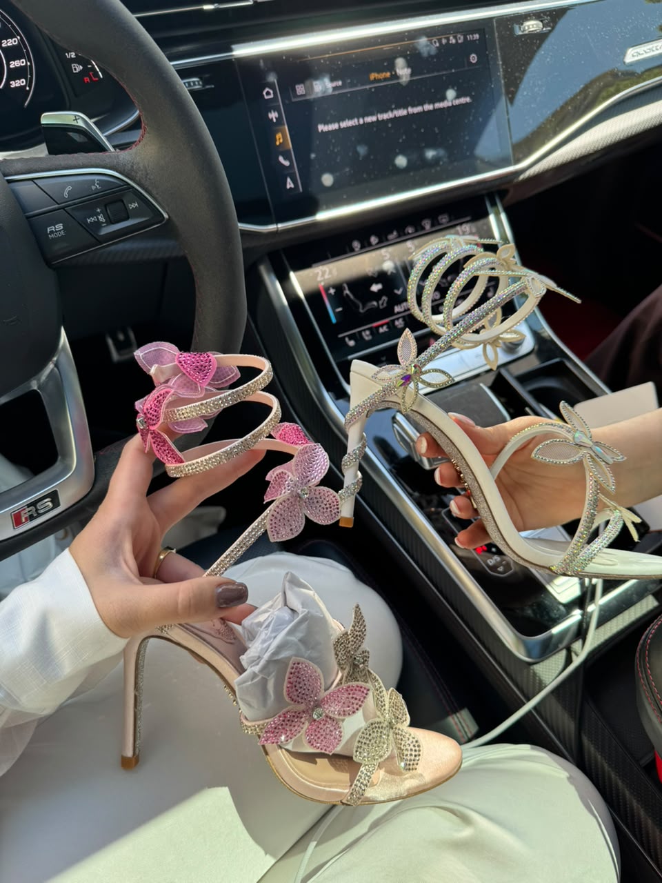 Rene Caovilla Shoes