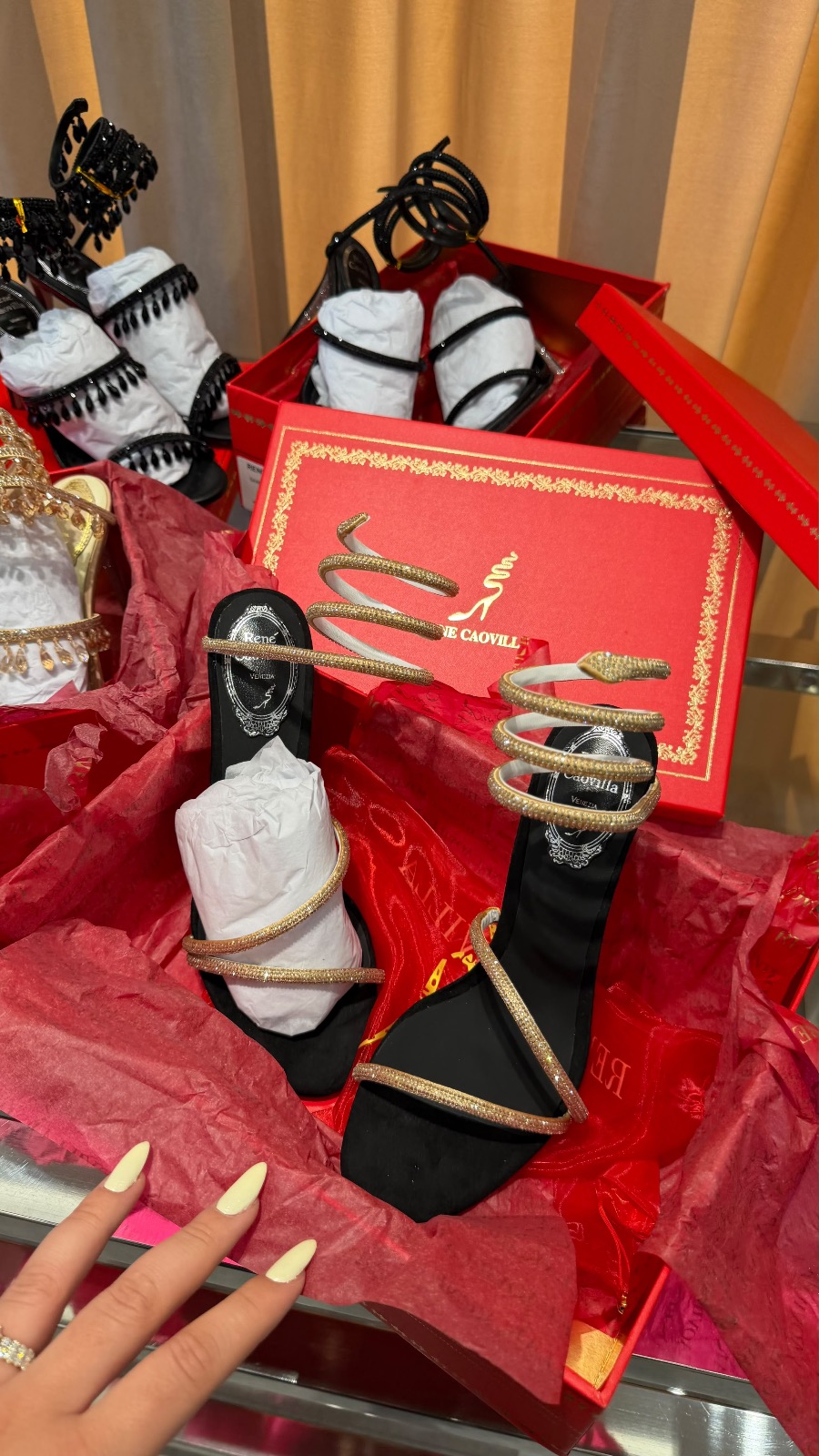 Rene Caovilla Shoes